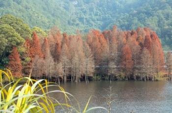 泮坑旅游风景区