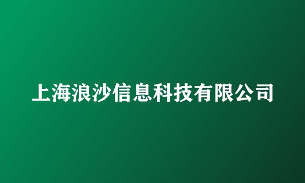 上海浪沙信息科技有限公司