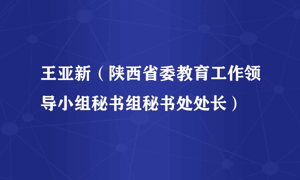 王亚新（陕西省委教育工作领导小组秘书组秘书处处长）