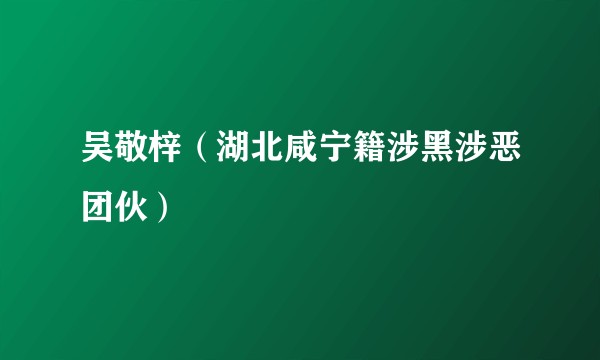 吴敬梓（湖北咸宁籍涉黑涉恶团伙）