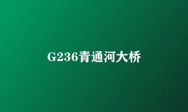G236青通河大桥