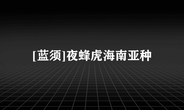 [蓝须]夜蜂虎海南亚种