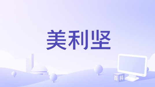 美利坚(美国1986年罗伯特·唐尼执导的喜剧电影)