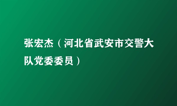 张宏杰(河北省武安市交警大队党委委员)