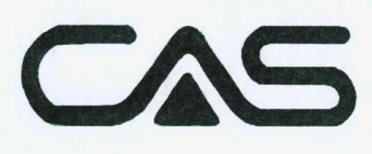 CAS(条件访问系统)