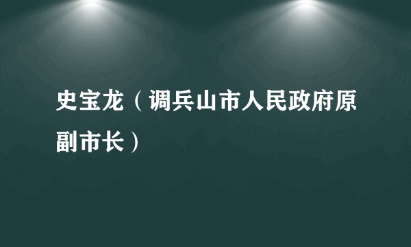 史宝龙（调兵山市人民政府原副市长）