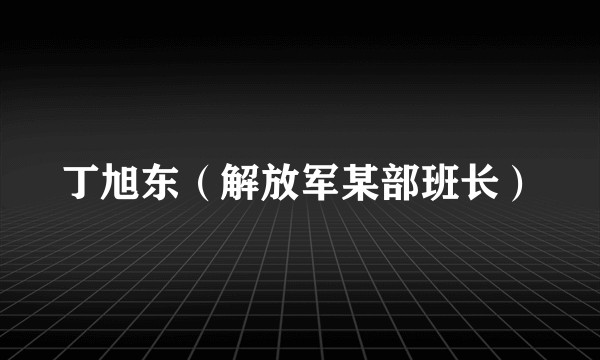 丁旭东(解放军某部班长)