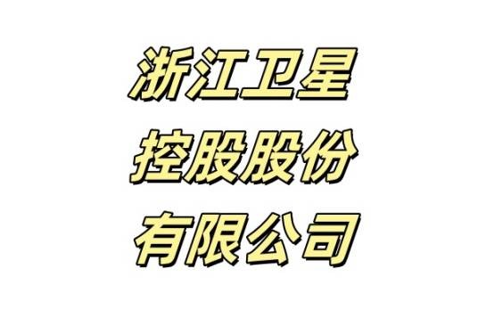 浙江卫星控股股份有限公司