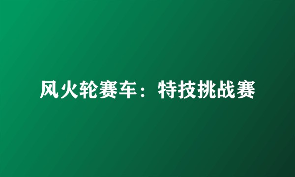 风火轮赛车：特技挑战赛