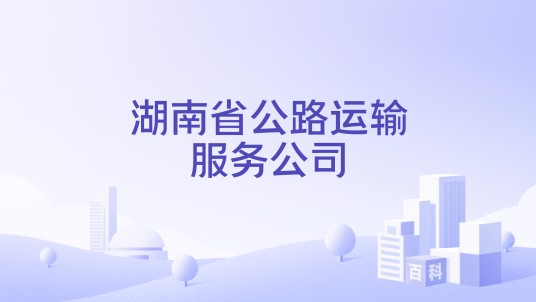 湖南省公路运输服务公司