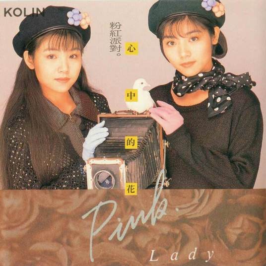 心中的花（粉红派对于1991年发行的同名专辑歌曲）