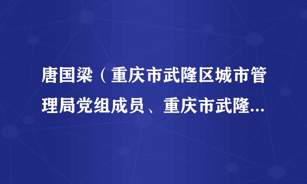 唐国梁（重庆市武隆区城市管理局党组成员、重庆市武隆区综合行政执法支队支队长）