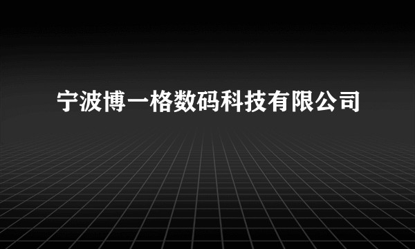 宁波博一格数码科技有限公司