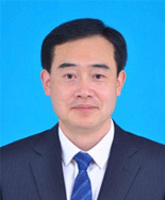 王镇(陕西省汉中市政府秘书长)