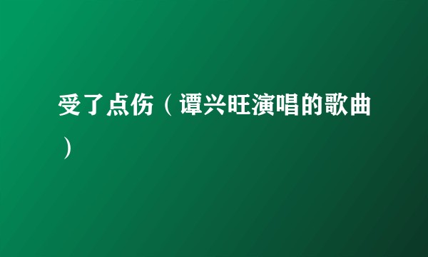 受了点伤（谭兴旺演唱的歌曲）