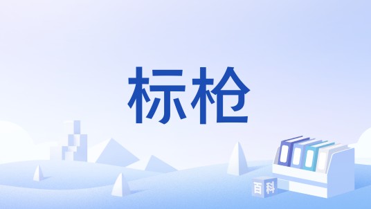 标枪（中国体育器材领域的推荐性国家标准）