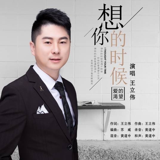 想你的时候（王立伟演唱的歌曲）
