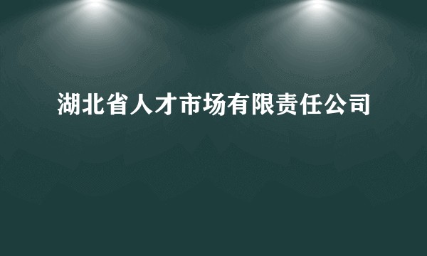 湖北省人才市场有限责任公司