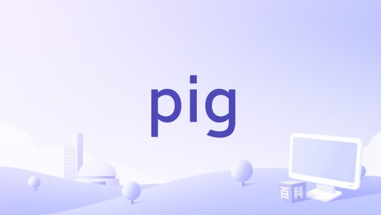 pig(编程语言)