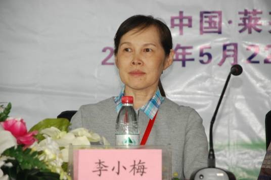李小梅(小儿心血管病专家)