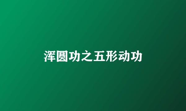浑圆功之五形动功