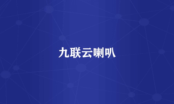 九联云喇叭