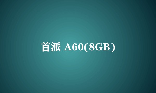 首派 A60(8GB)
