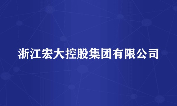 浙江宏大控股集团有限公司
