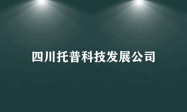 四川托普科技发展公司