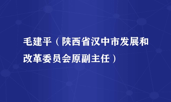 毛建平(陕西省汉中市发展和改革委员会原副主任)