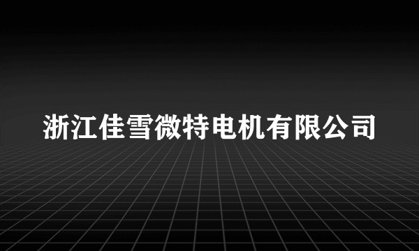 浙江佳雪微特电机有限公司