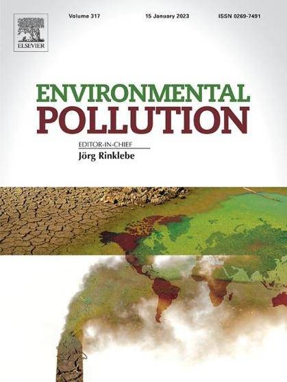 ENVIRONMENTAL POLLUTION