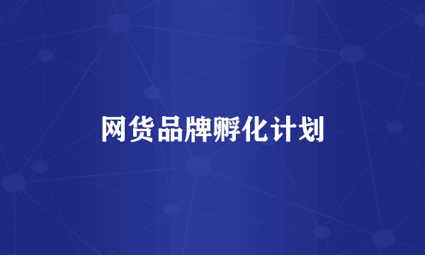 网货品牌孵化计划