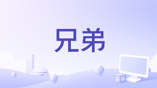 兄弟（芬兰爱沙尼亚2003年Esa Illi执导的剧情电影）
