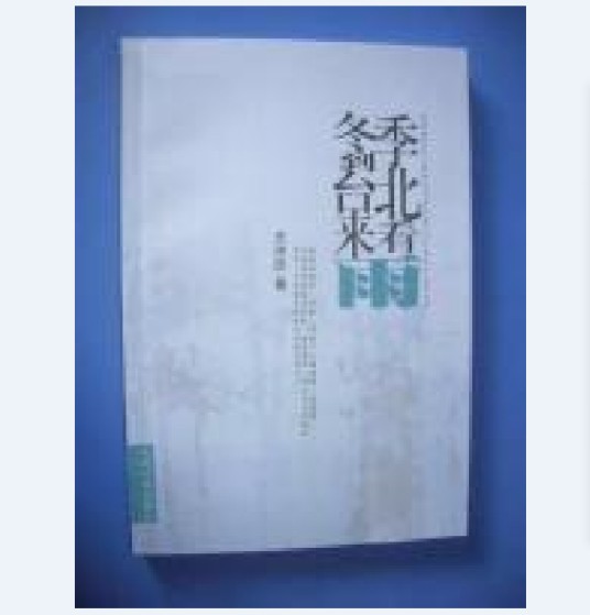 冬季到台北来看雨（2006年人民日报出版社出版的图书）