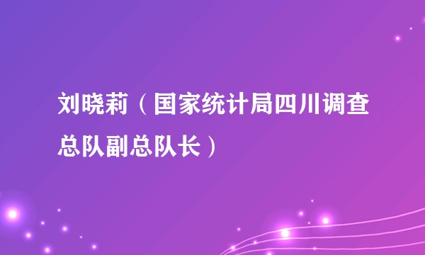 刘晓莉（国家统计局四川调查总队副总队长）