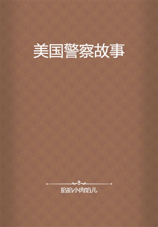 美国警察故事