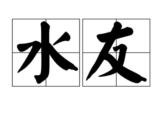 水友