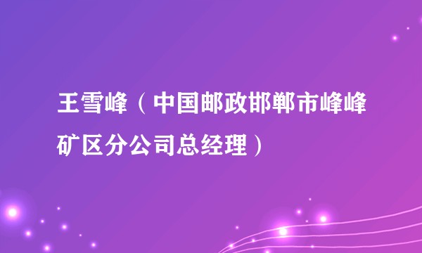 王雪峰（中国邮政邯郸市峰峰矿区分公司总经理）