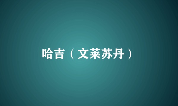 哈吉（文莱苏丹）