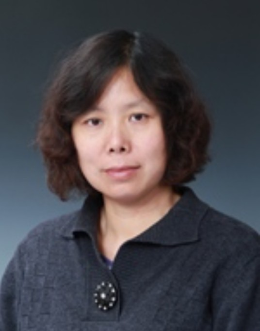 陈曦（清华大学自动化系副研究员）