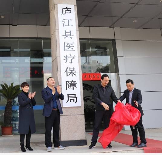 庐江县医疗保障局