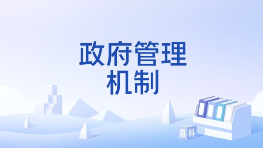 政府管理机制