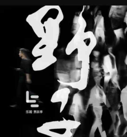 野子（苏运莹创作并演唱的歌曲，后因贾跃亭在2016年乐视生态全球年会上演唱而受到广泛关注）