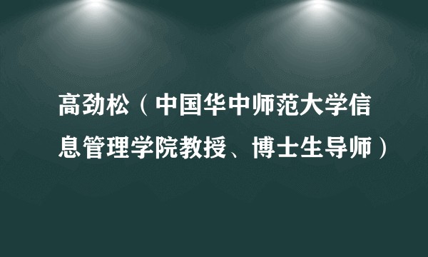 高劲松（中国华中师范大学信息管理学院教授、博士生导师）