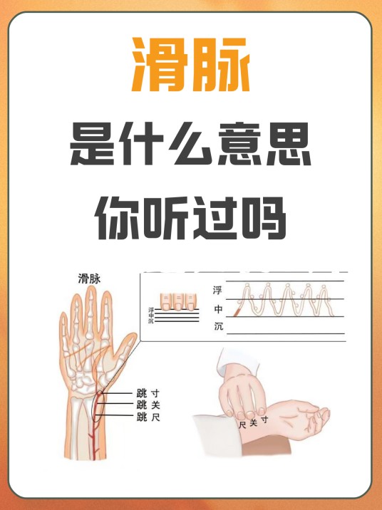 脉滑