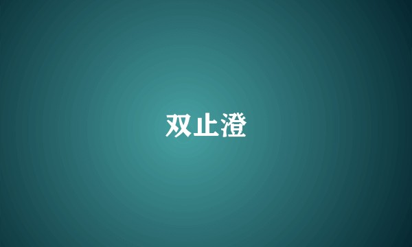 双止澄