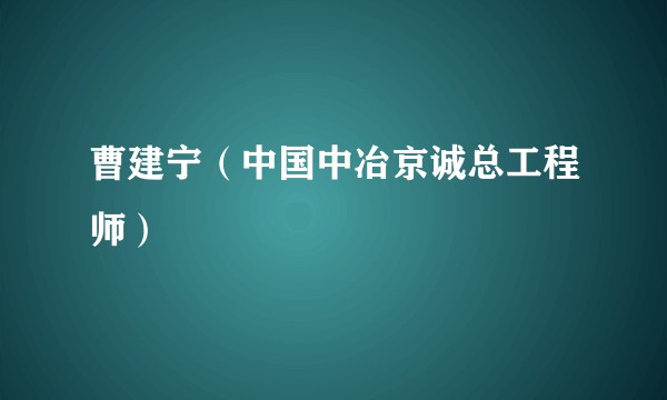 曹建宁（中国中冶京诚总工程师）