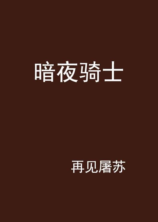 暗夜骑士（小说）