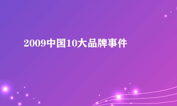 2009中国10大品牌事件